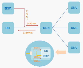 Network Operators