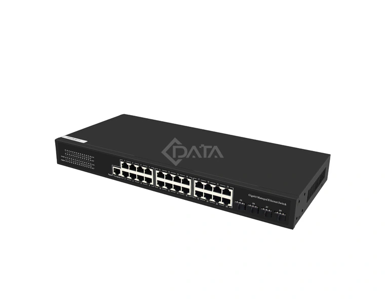 24 port switch
